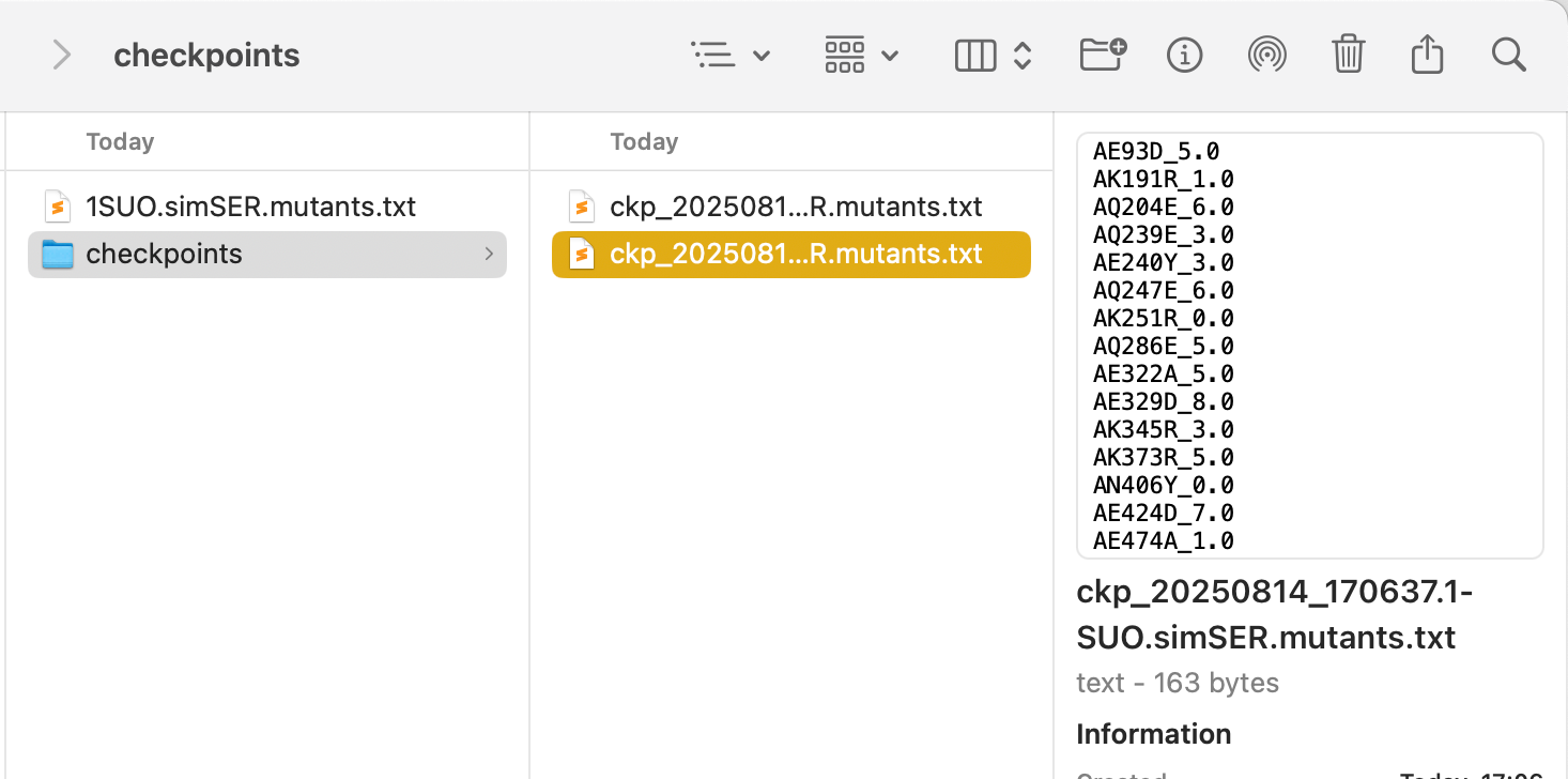 Checkpoint files