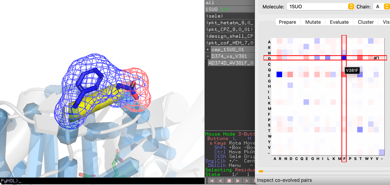 Designing from co-evolution